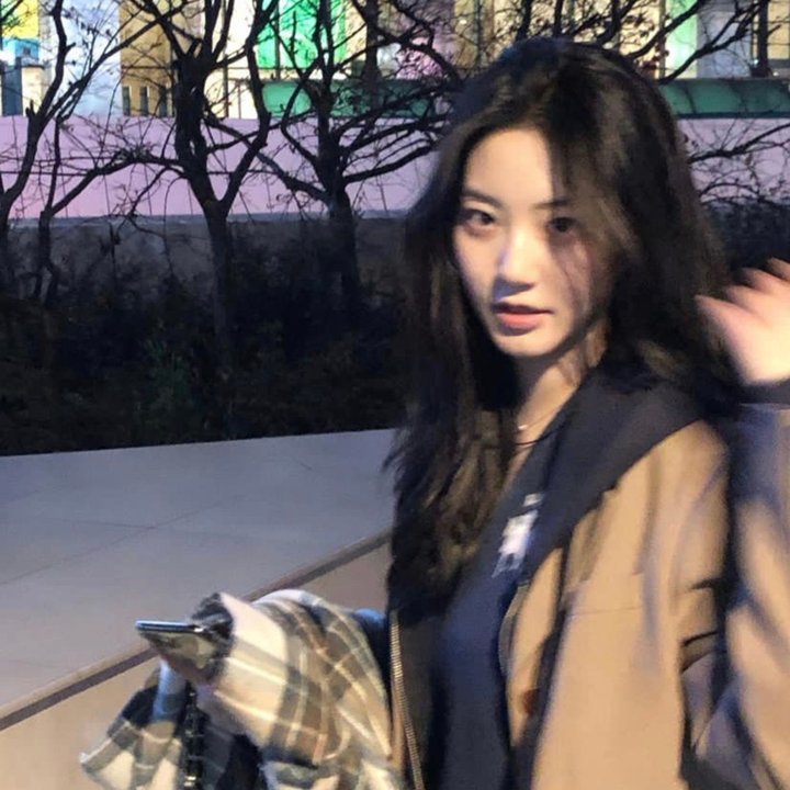 两万种蜜蜂