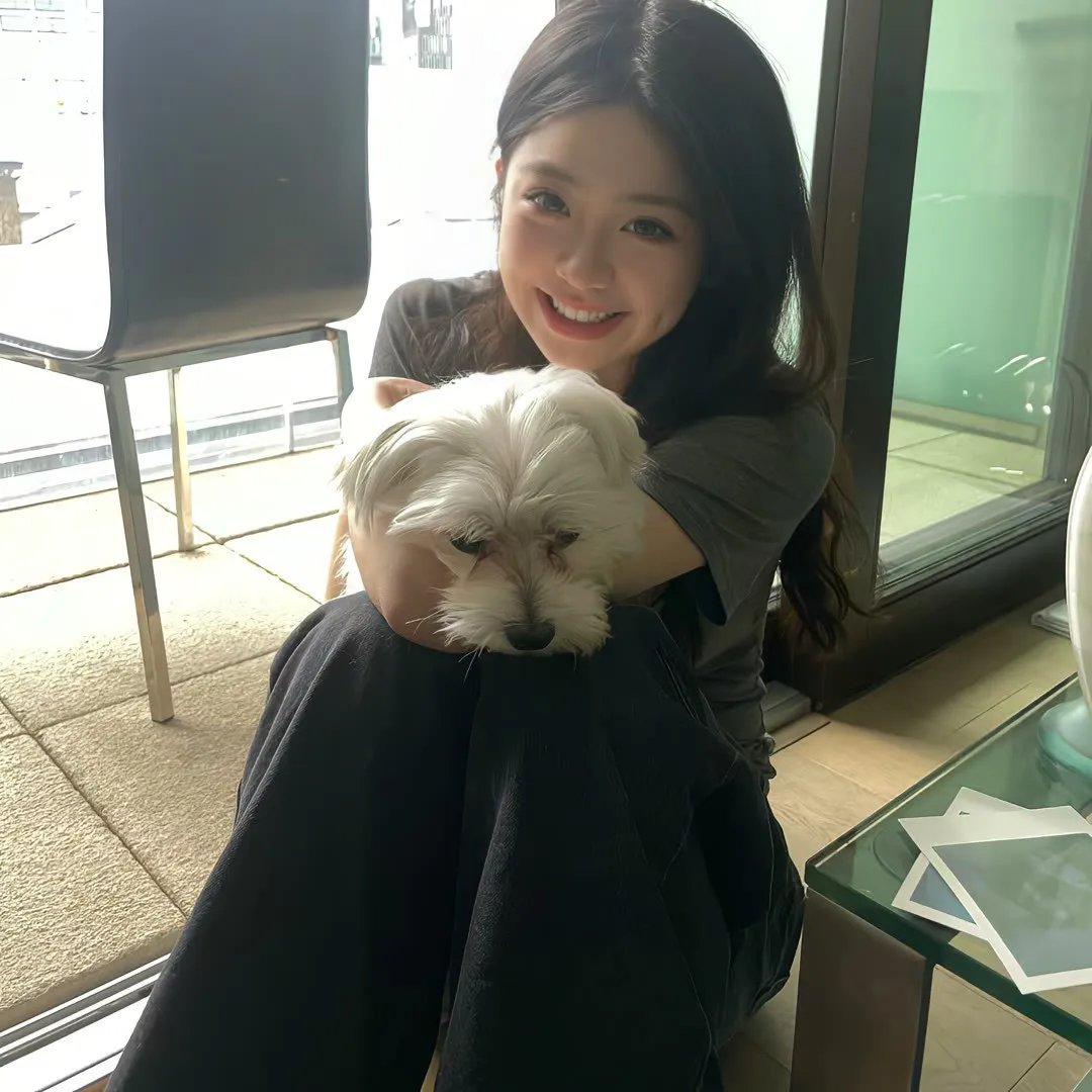 新弦